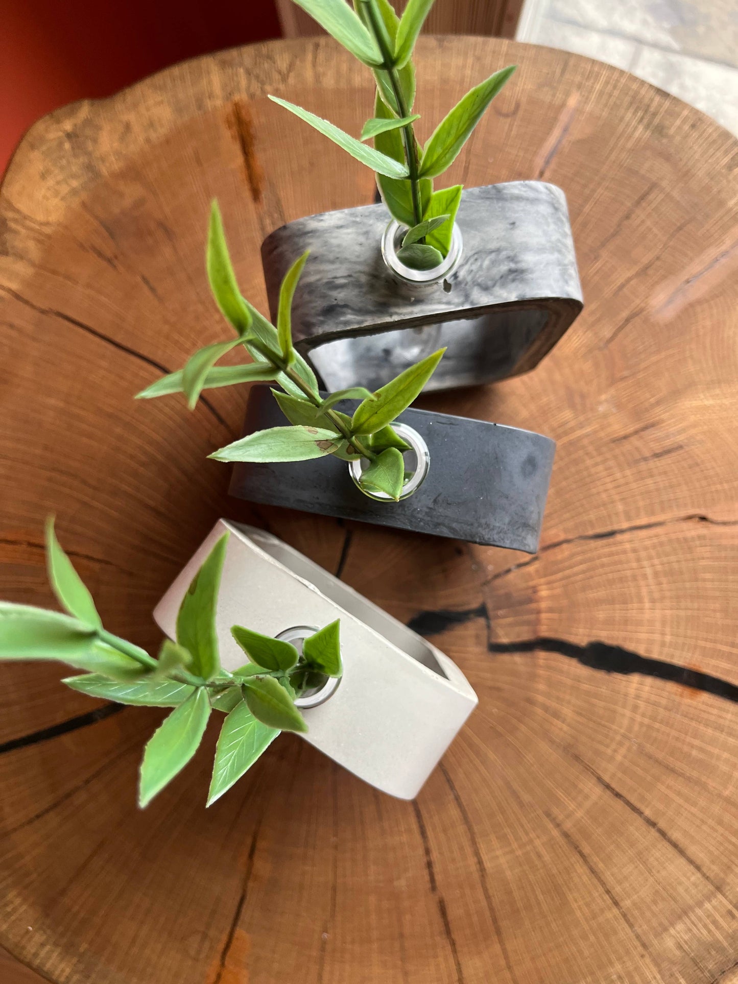 Modern Rectangular Concrete Propagation Planter